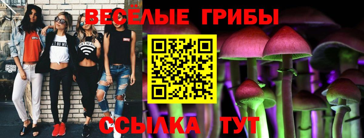 Галлюциногенные грибы MAGIC MUSHROOMS  Вход с VPN  Железноводск 